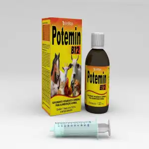POTEMIN ORAL B12 120 ML