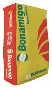 BRACHIARIA RUZIZIENSIS 