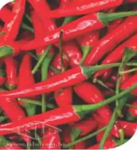 PIMENTA BRS MARI DEDO DE MOCA SP 10 ENV. 1,5 GR