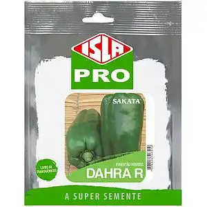 PIMENTAO DAHRA  R. /HIBRIDO ENV 100 SEM