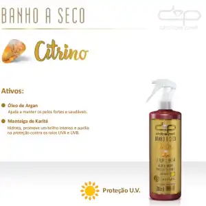 BANHO SECO CEREJA E AVELA (CITRINO) P.U. 500 ML