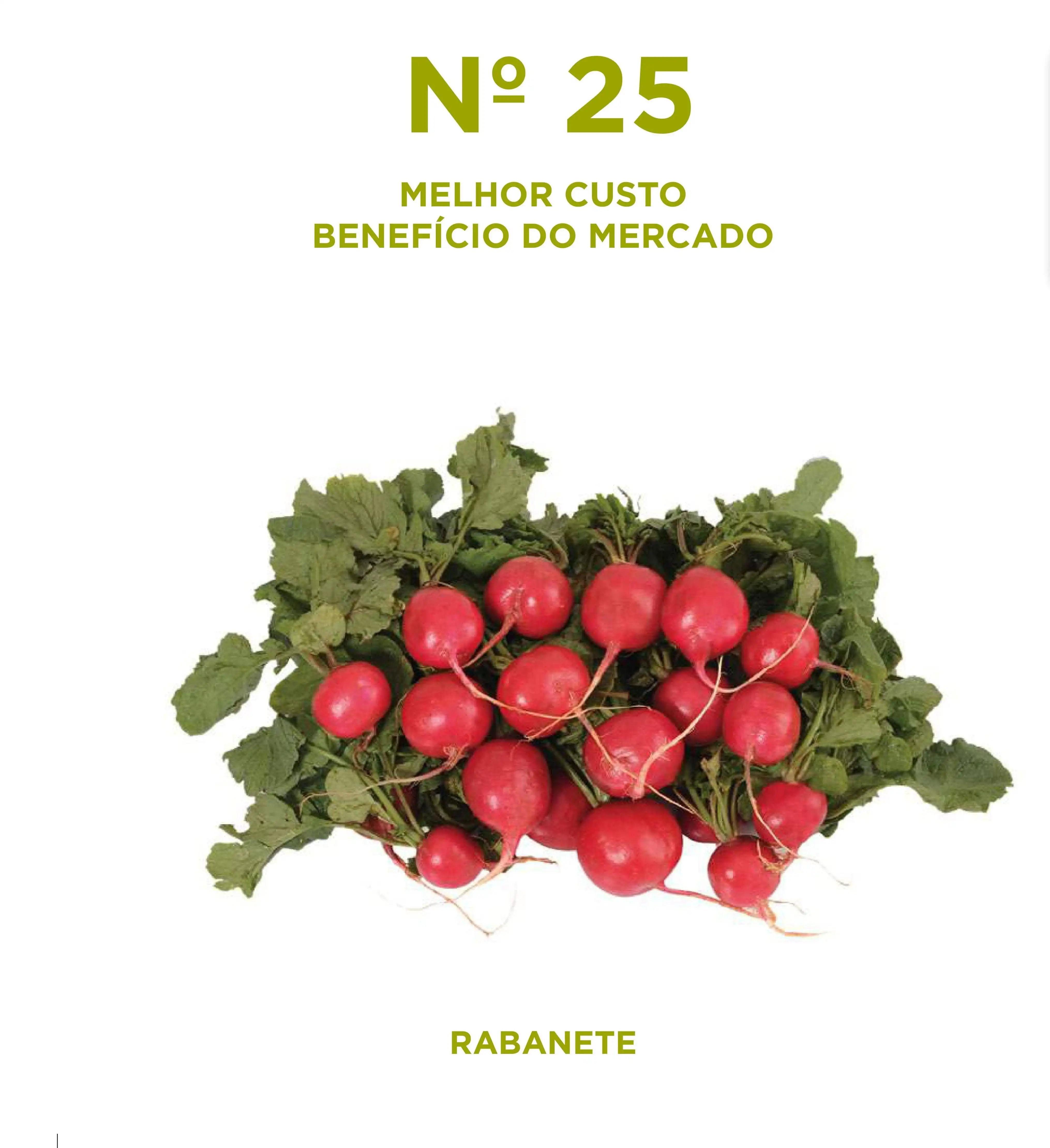 RABANETE NR 25 (STAND-UP 100 GR)