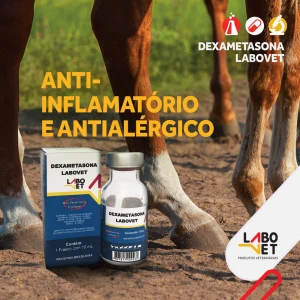 DEXAMETASONA INJ. LABOVET 10 ML