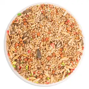 MISTURA AGAPORNIA/CALOPSITA 10 KG