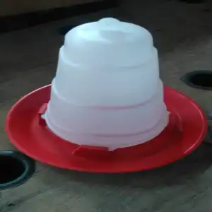 COMED. FRANGOS 3 KG PLASTICO NS