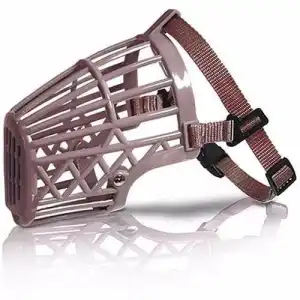 FOCINHEIRA DE PLASTICO P