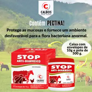 STOP ANTI DIARREICO CX COM 10 SACHES 10 G