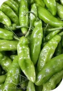 PIMENTA DE CHEIRO ACEMIRA MT 20 ENV.500mg