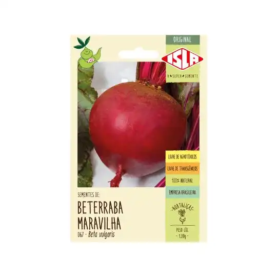 BETERRABÁ MARAVILHA ORIGINAL