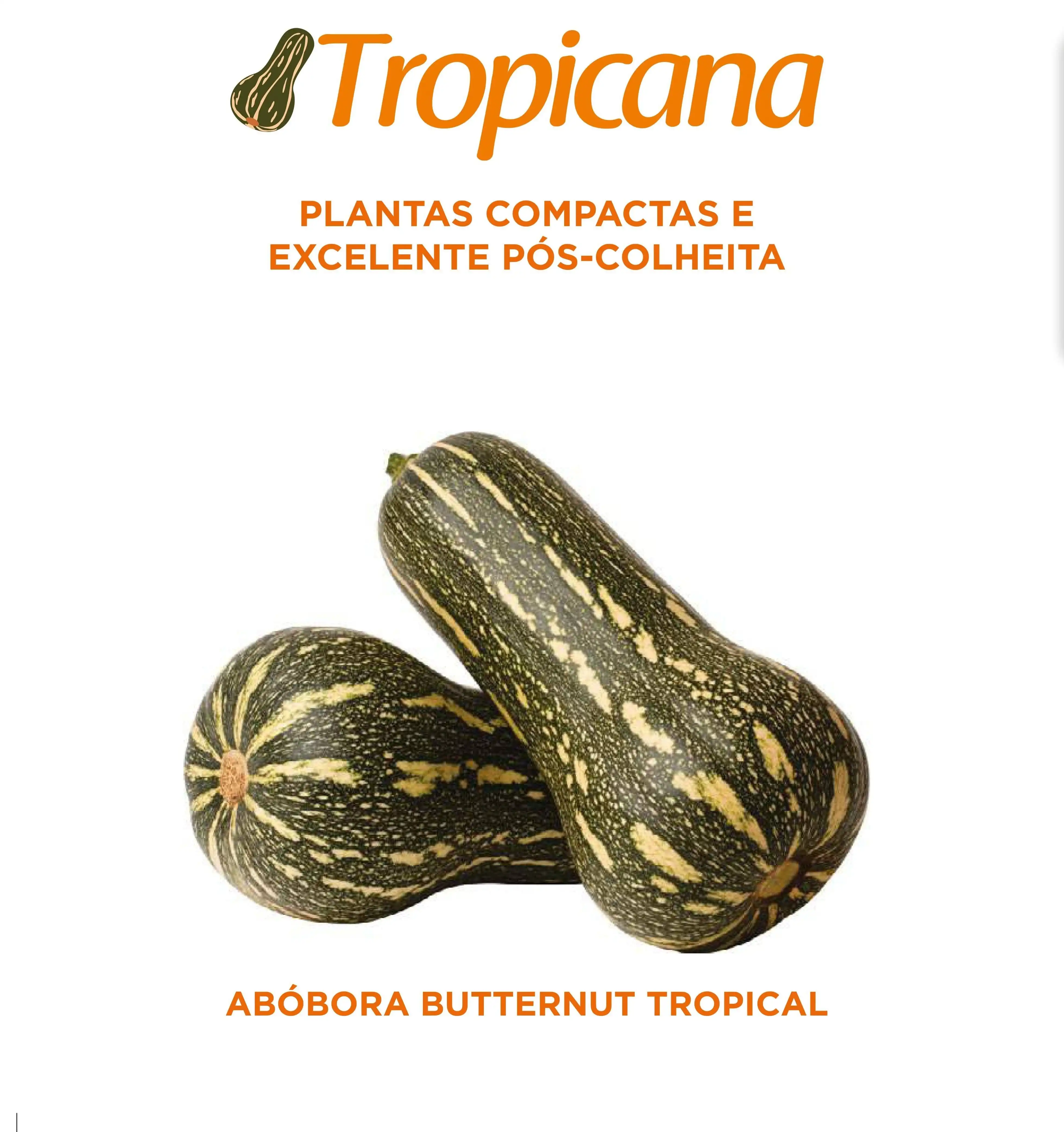 ABOB. TROPICANA (HIBRI. STAND-UP 1.000 SEM )