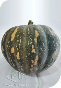 ABOB. CORACAO TIPO JACAREZINHO BAIANA PCT ALUM 100 GR (PRO)