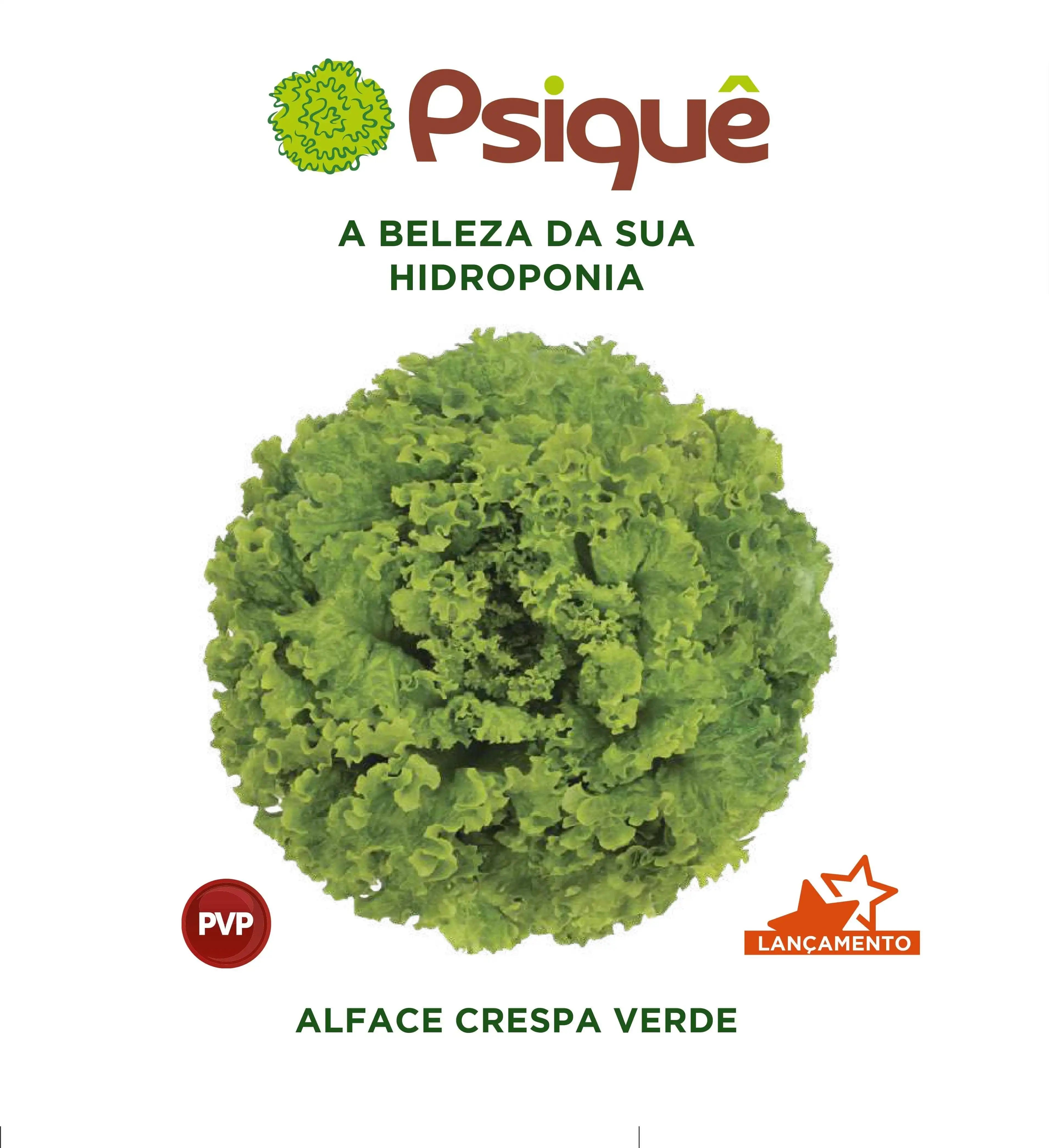 ALFACE PSIQUE CRESPA (PELETIZADA STAND-UP 7500 SEM)