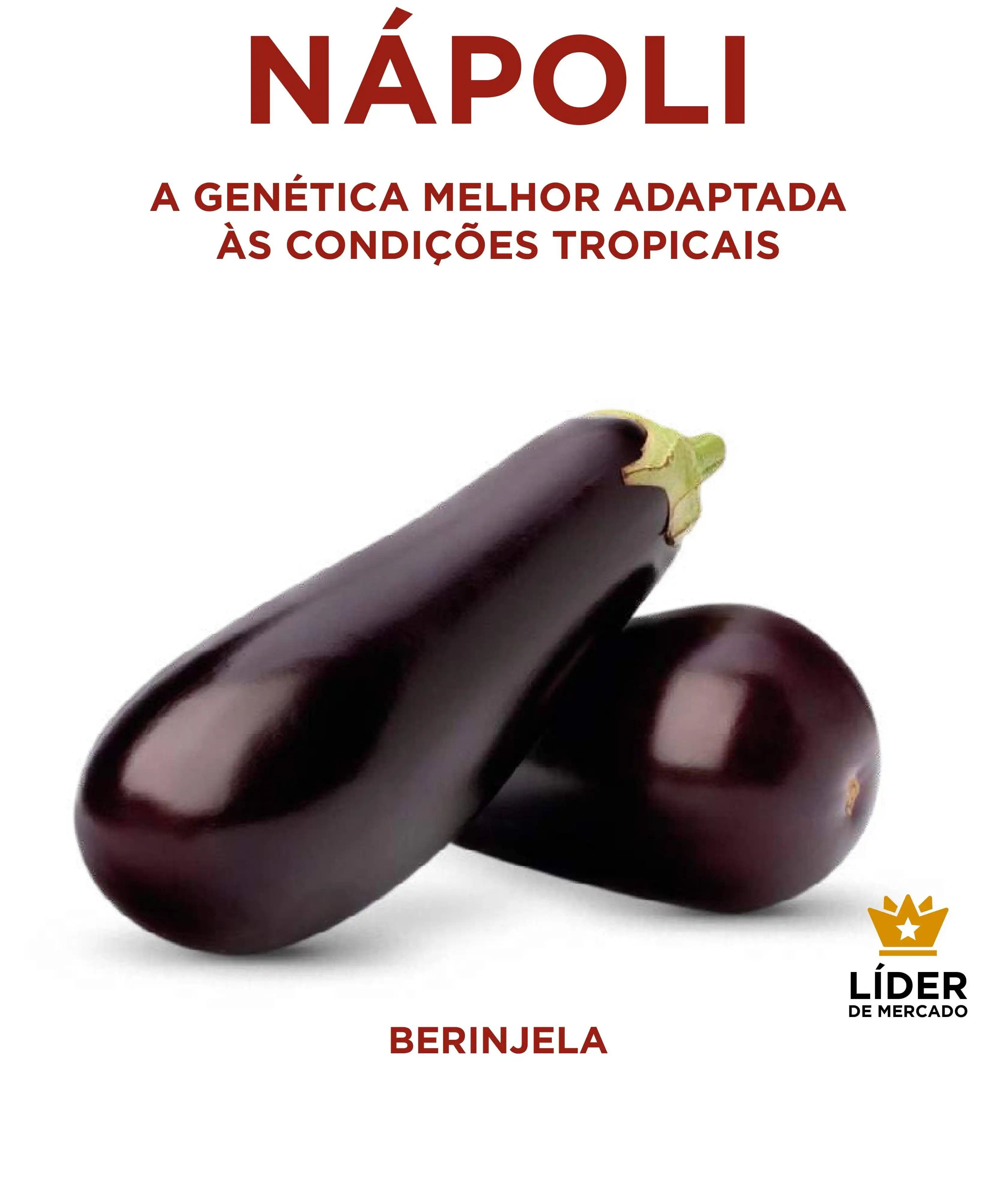 BERINJELA NAPOLI (HIBRIDO ENV 2000 SEM)