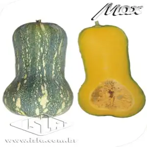 ABOB. HIB MAJESTADE P1E ALUM 50 GR (PRO)R