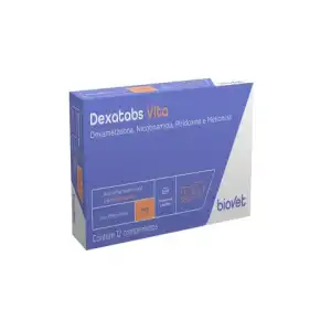 DEXATABS VITA 1GR 12 COMP.