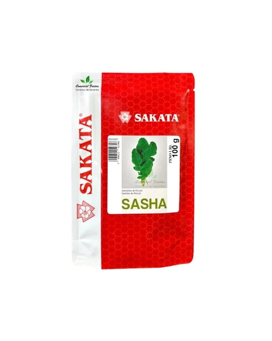 RUCULA SASHA (STAND-UP 100 GR)