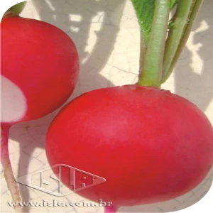 RABANETE GIGANTE SICULO MT 20 ENV. 3 GR