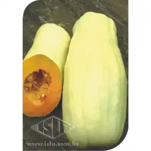 ABOB. NOVA CARAVELA SP 10 ENV. 7G