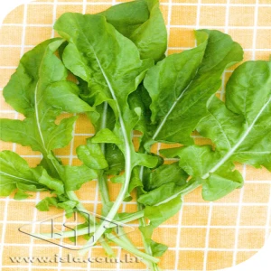 RUCULA CULTIVADA ANTONELLA PCTE ALUM 100 GR