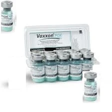 VACINA VAXXON POX P - 5 FR DE 100 DS (BOUBA FORTE)