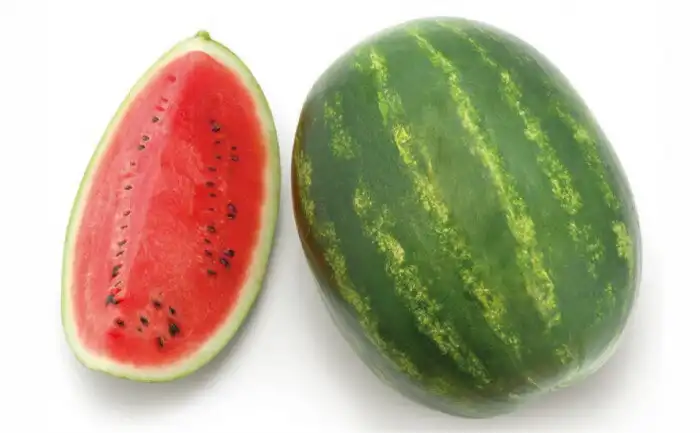 MELANCIA OLIMPIA (HIBRIDO STAND-UP 1000 SEM/100GR)