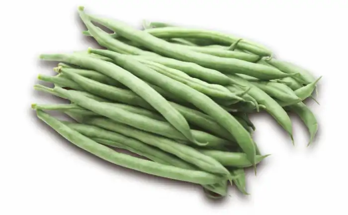 FEIJAO VAGEM SUZY INDETERMINADO (STAND-UP 1KG)