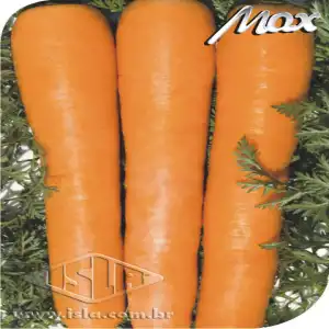 CENOURA SUPREMA CALIB MD 10 ENV 3 GR ZZ