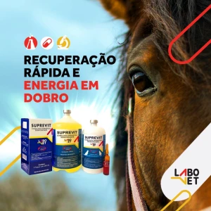 SUPREVIT SORO 500 ML (FR)
