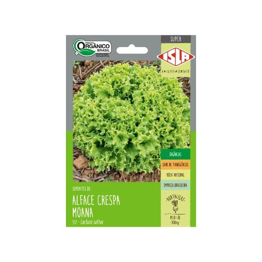 ALFACE MOANA SP 10 ENV 0,5 GR