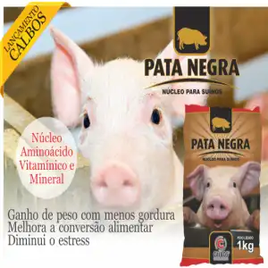 PATA NEGRA PACOTE 1 KG
