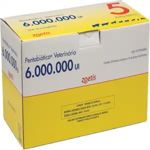 PENTABIOTICO 6.000.000 UI R