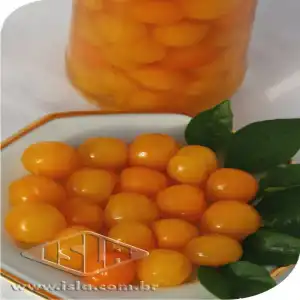 PIMENTA ARARI BODE AMARELA MT 20 UN 0,8 GR ZZ