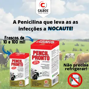 PENCIL PRONTO 100 ML