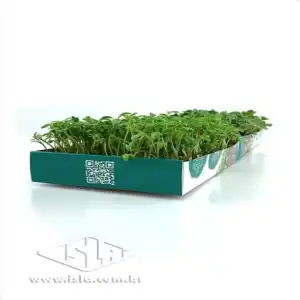 KIT MICROVERDES AGRIAO E RABANETE