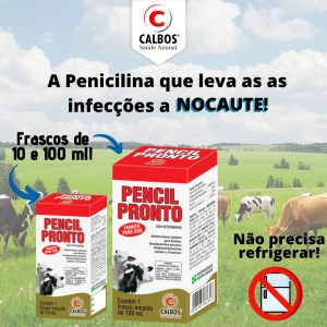 PENCIL PRONTO 100 ML