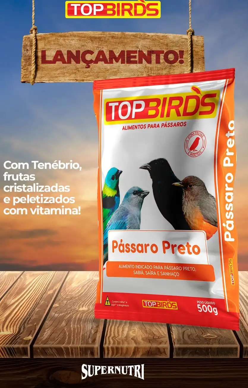 MISTURA PASSARO PRETO E SABIÁ TOP BIRDS 500 GR