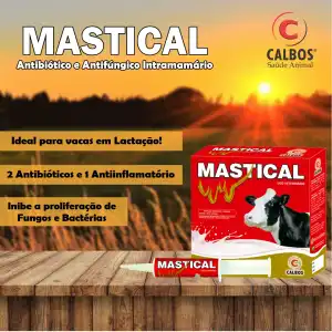 MASTICAL 12X10 ML(sulfadiazina, nistatina, prednisolona)