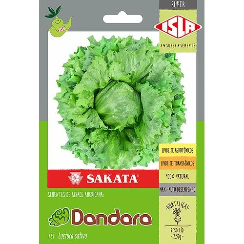 ALFACE AMERICANA DANDARA  SP-SDA 10 UN 2,5 G 