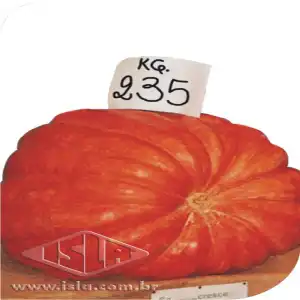 ABOB. ATLANTIC GIGANTE SP 10 ENV 3 GR