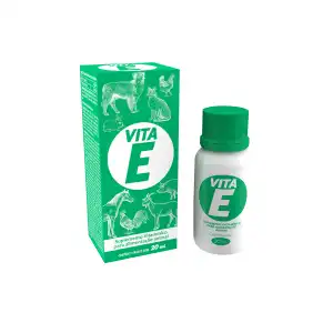 VITA E 20 ML  ZZ