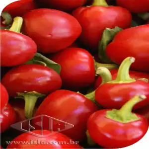 PIMENTA TUPA BODE VERMELHA MT 20 ENV DE 0,8 GR