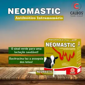 NEOMASTIC 12X08 ML VS (neomicina+bacitracina)