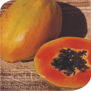 MAMAO FORMOSA P1E ALUM. 25 GR