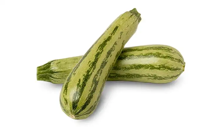 ABOB. ADELE (HIBRIDO STAND-UP 1000 SEM)