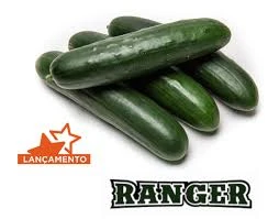 PEPINO RANGER HIBRIDO (ENVELOPE 3.000 SEM)