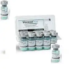 VACINA VAXXON POX P - 5 FR DE 100 DS (BOUBA FORTE)