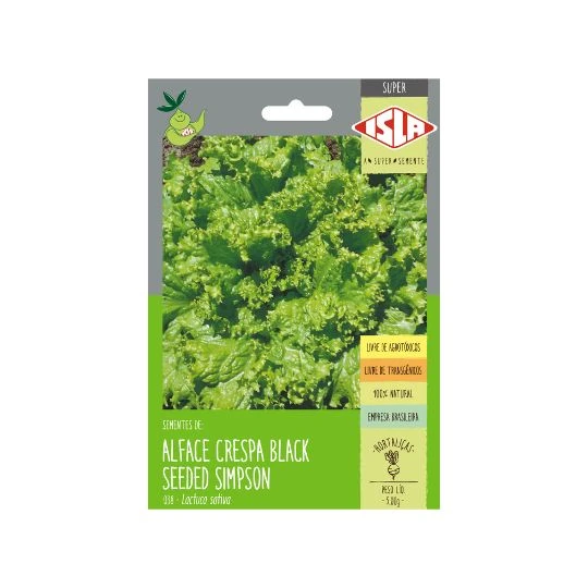 ALFACE CRESPA BLACK SEEDED SIMPSON SP 10 UN 5 GR