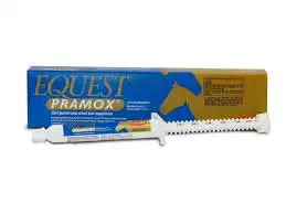 EQUEST PRAMOX 12gr (moxidectina+praziquantel)  