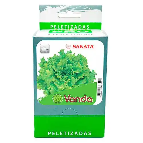  ALFACE VANDA PRATIPELET(20 env.100 sem.)