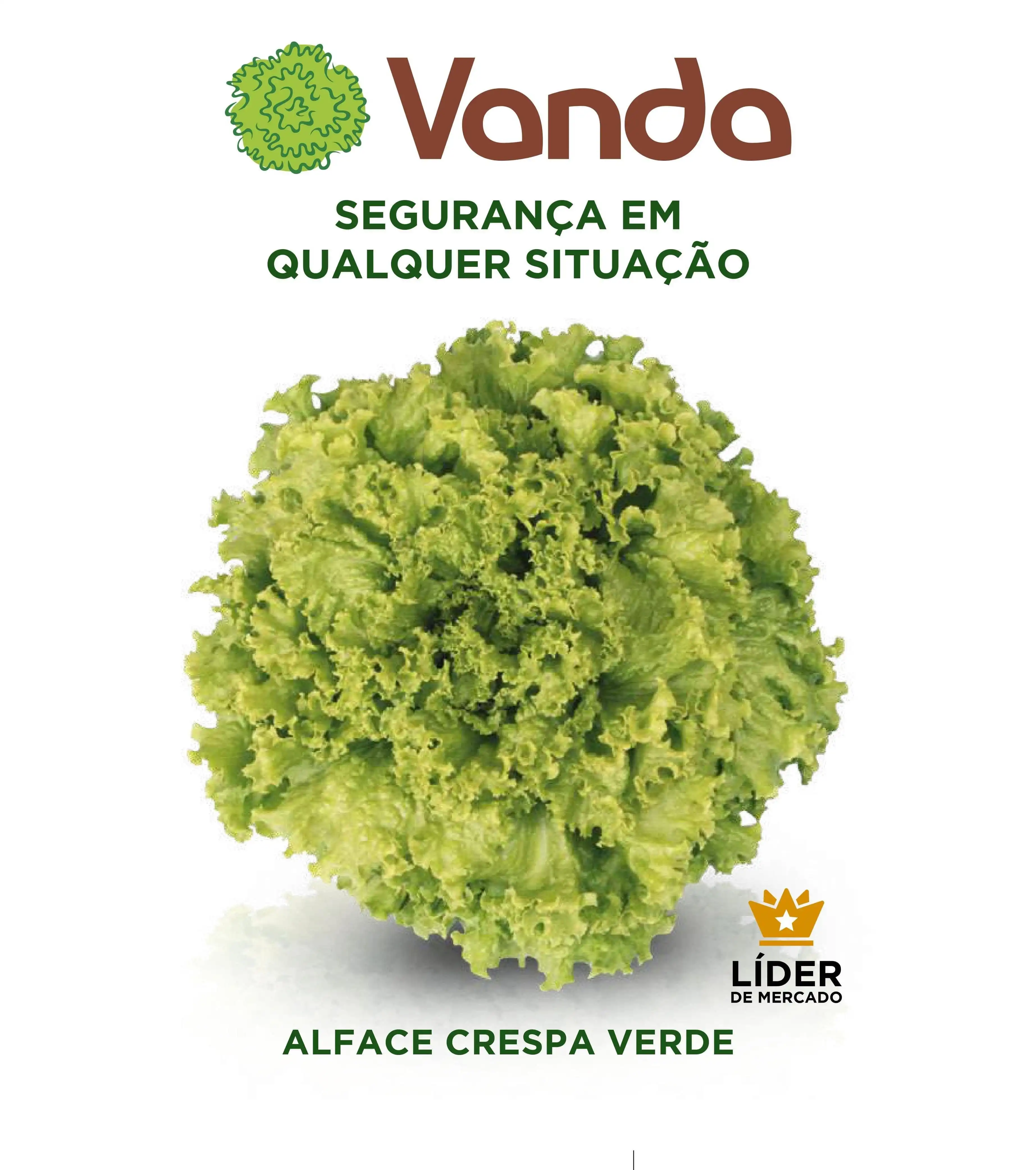 ALFACE VANDA  CRESPA (PELETIZADA STAND-UP 7500SEM)